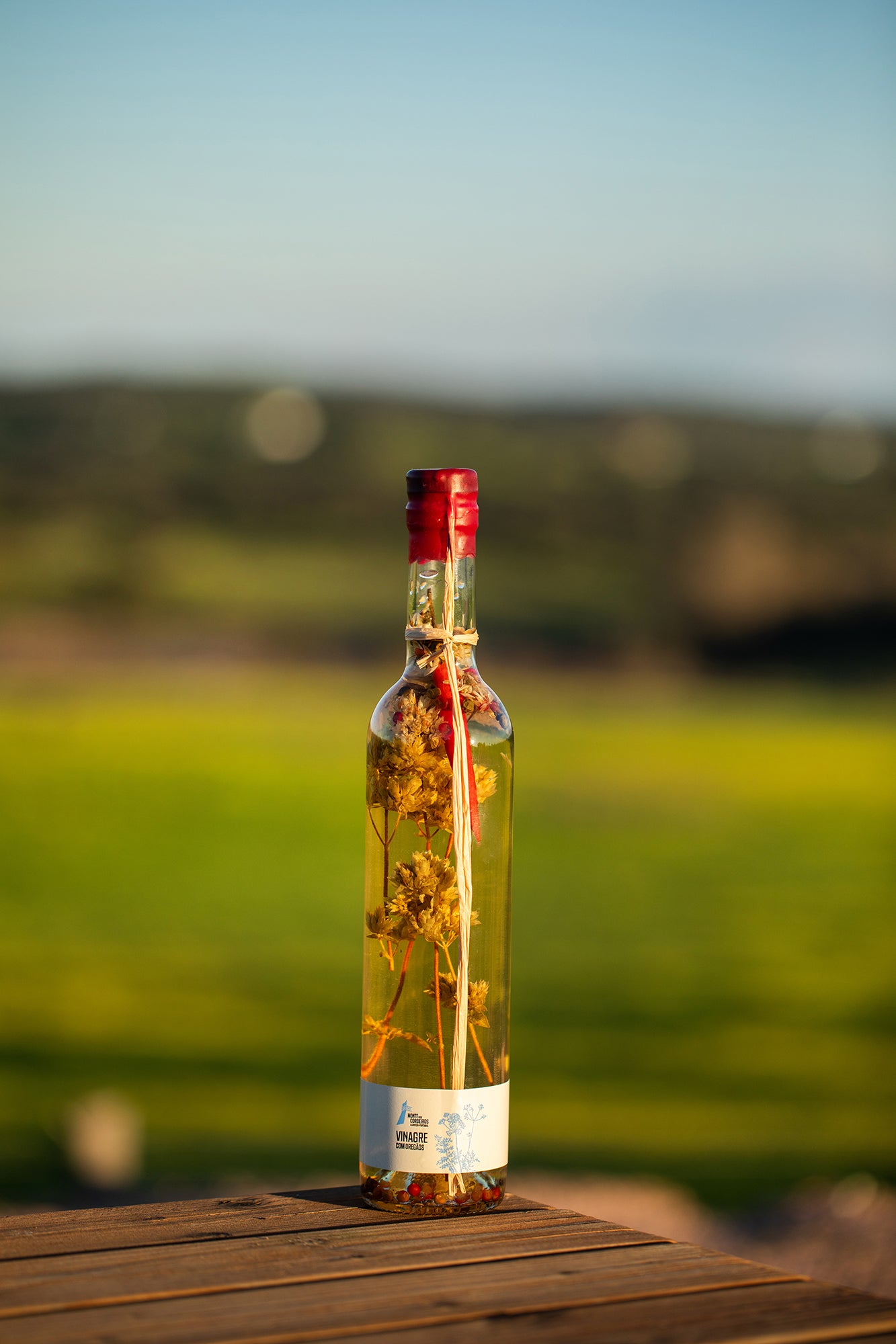 Vinagre Com Oregãos